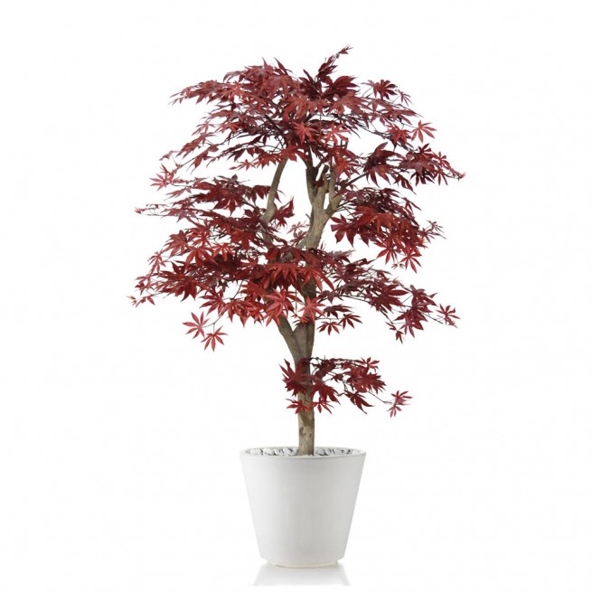Planta semi-artificiala Ila, Maple Multistep Burgundy - 150 cm